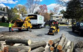 Lake Carmel, NY Tree Services Company